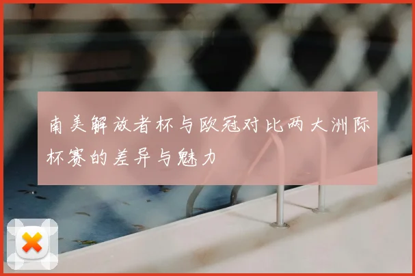 南美解放者杯与欧冠对比两大洲际杯赛的差异与魅力